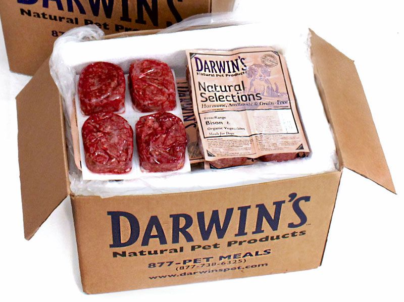 darwins pet food