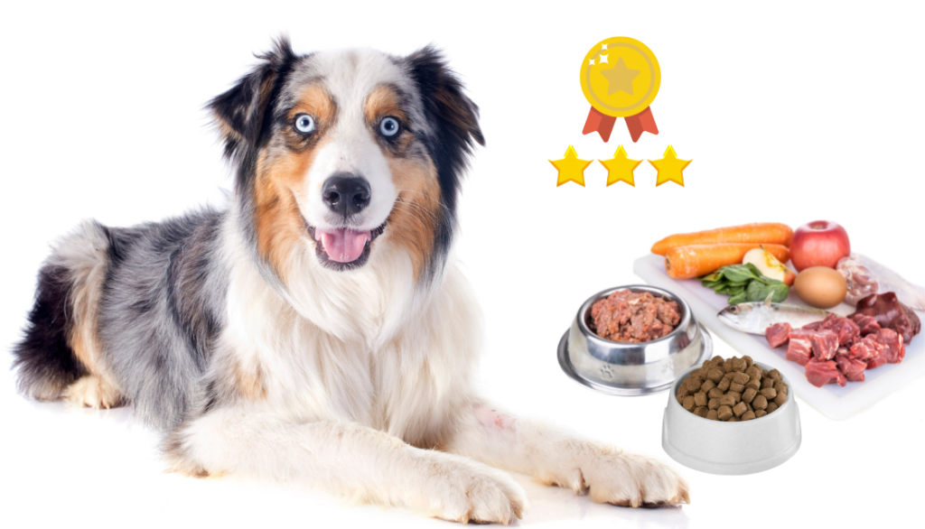 dammei best pet food