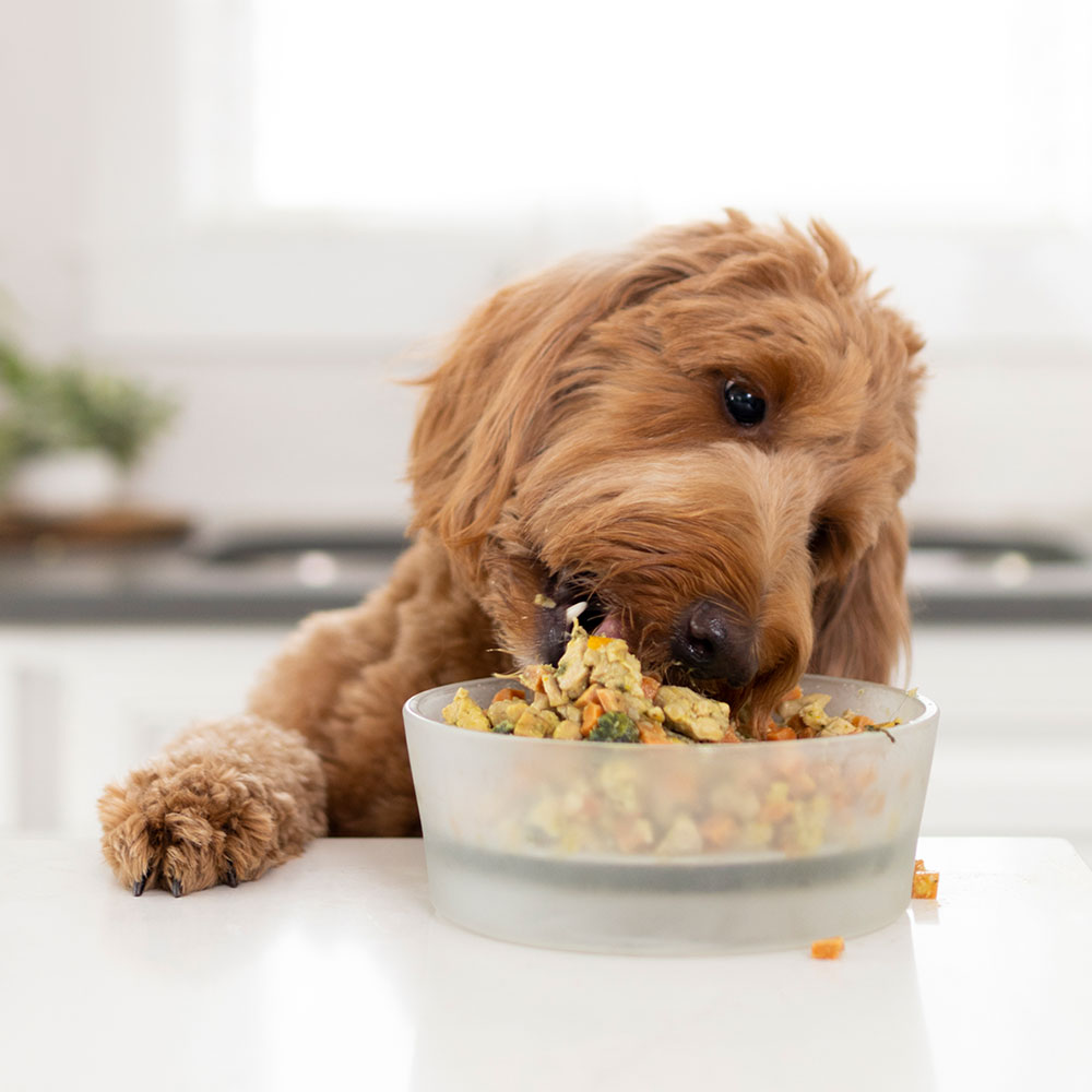 symrise pet food