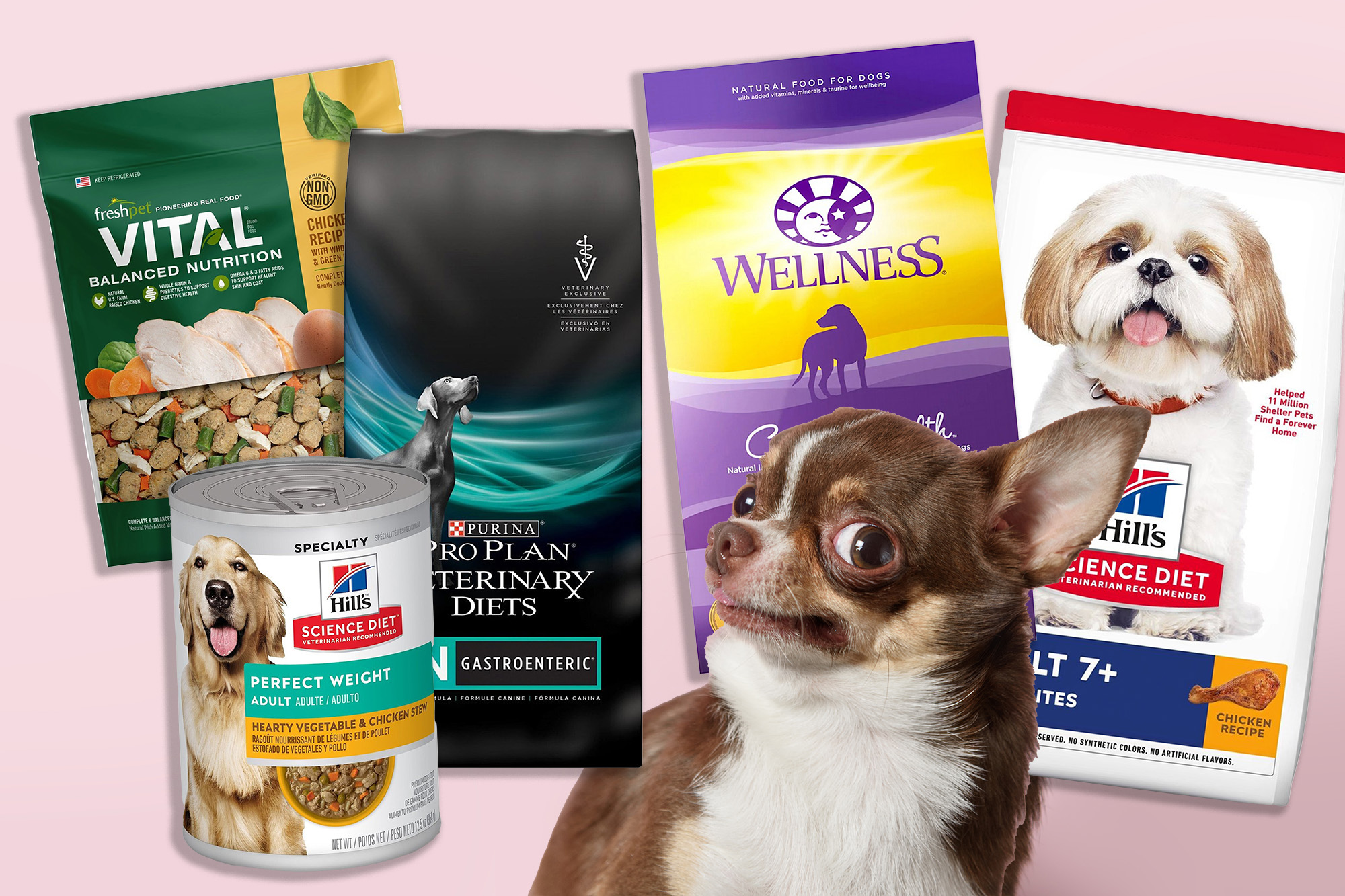 free pet food for low-income  families