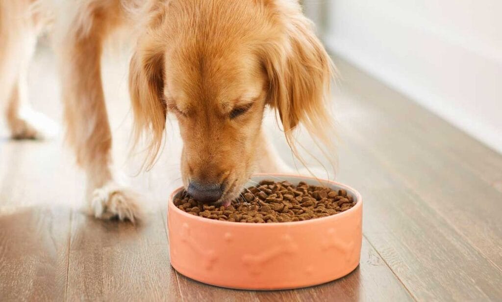 largest pet food companies