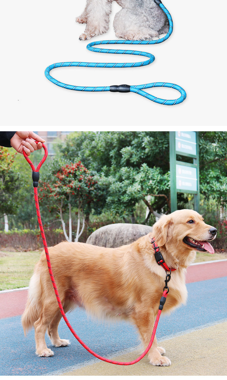 do service dogs have to be on a leash