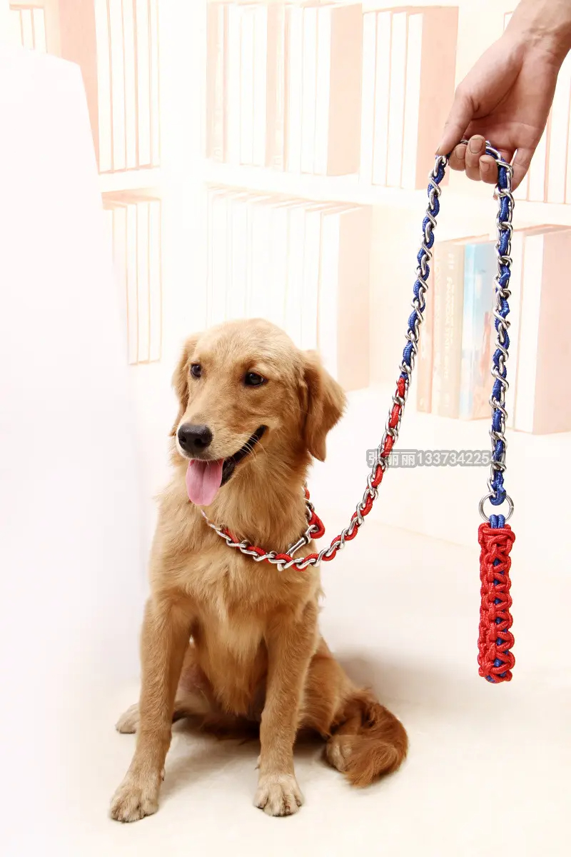 puppy doesn t like leash