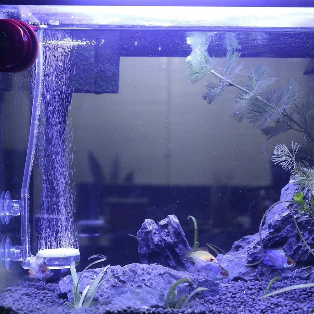 how to add oxygen to fish tank