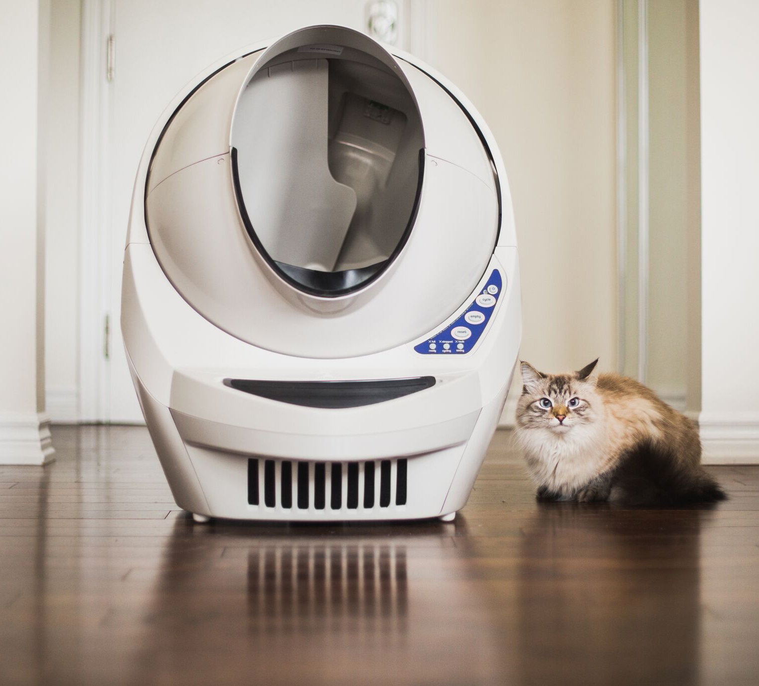 litter robot 3