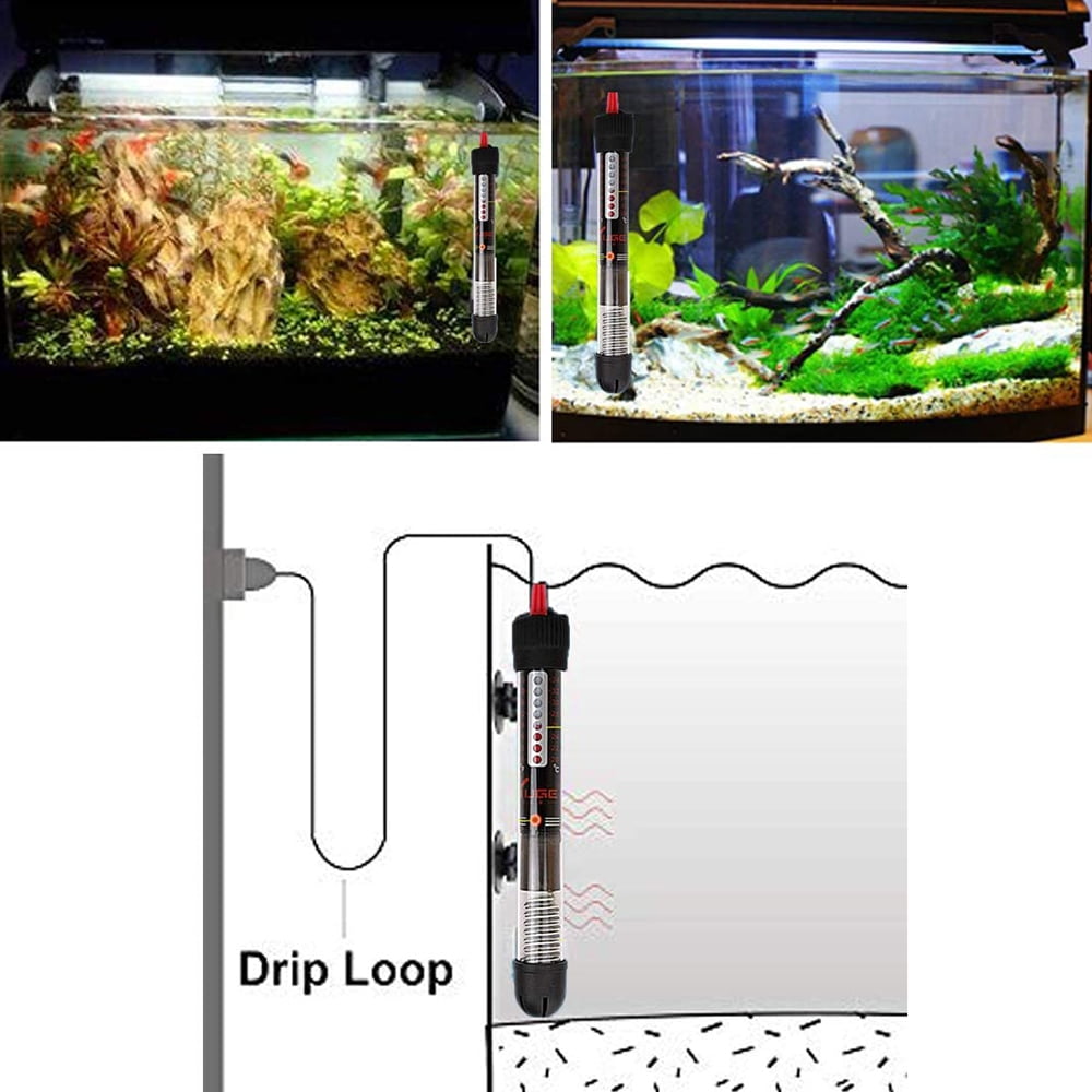 what temperature should a fish tank be