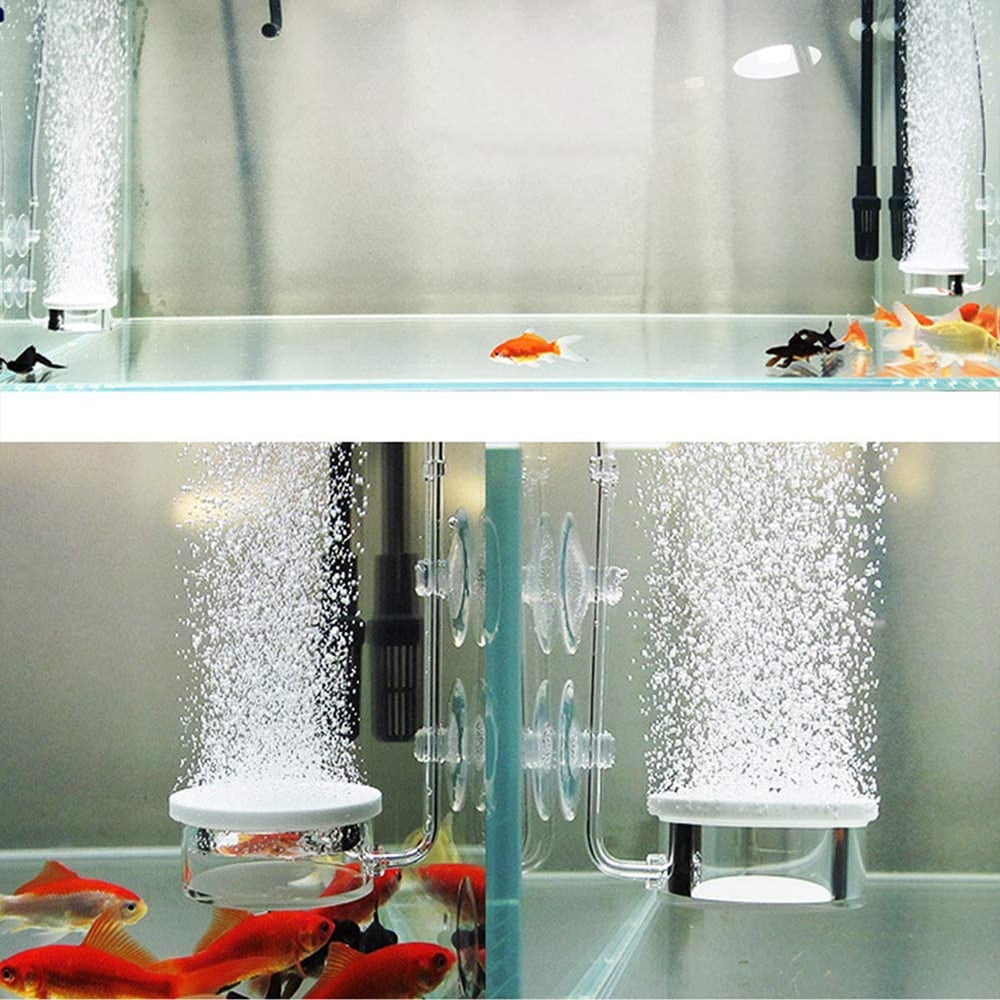 how to add oxygen to fish tank