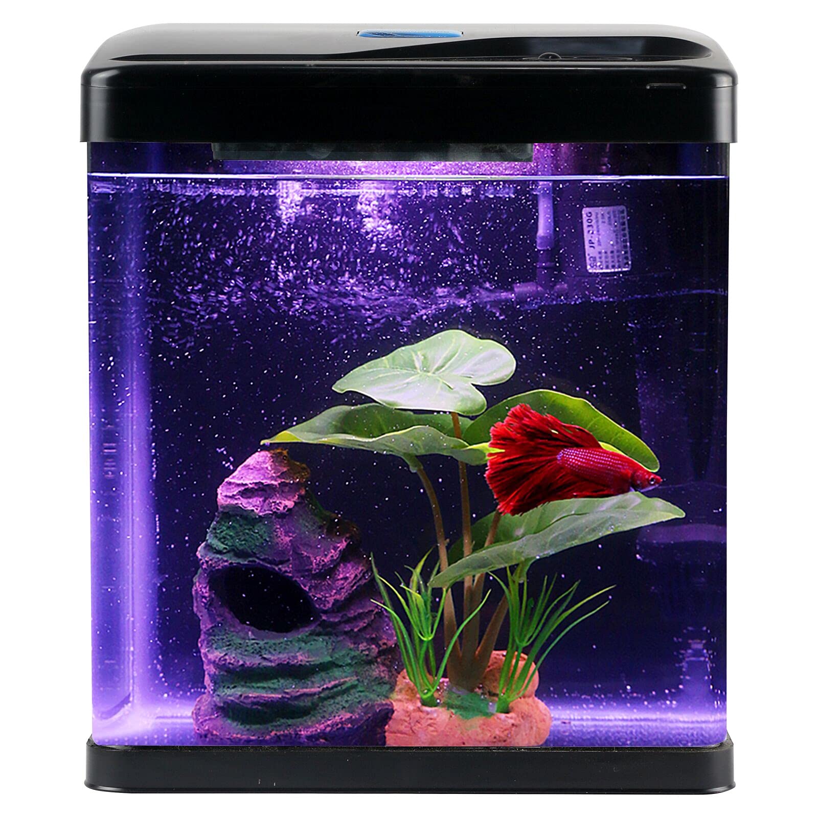 how big of a tank does a betta fish need