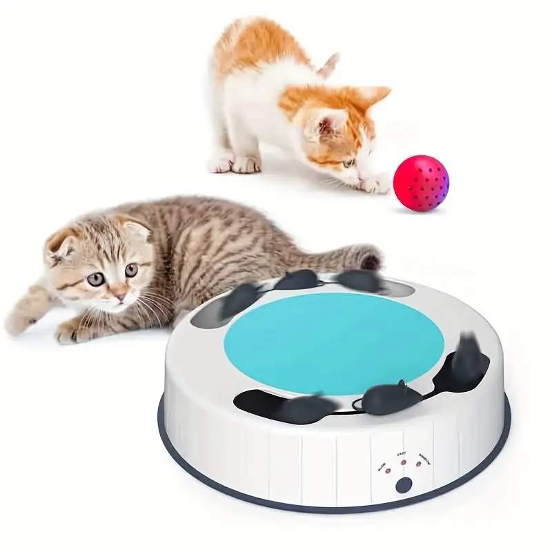 interactive cat toy