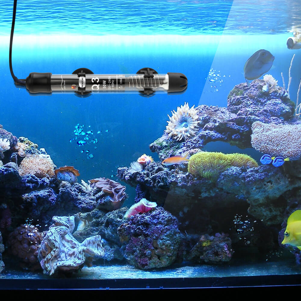 what temperature should a fish tank be