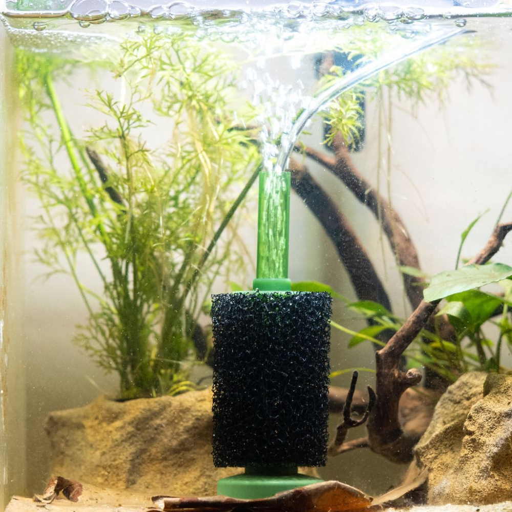 how to add oxygen to fish tank
