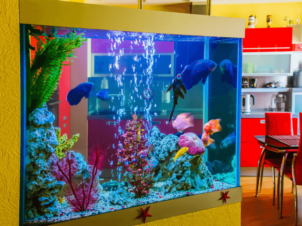 how to change water in fish tank