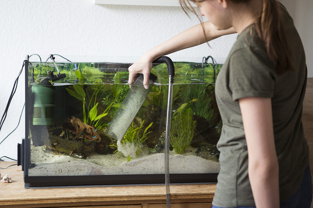 how to change water in fish tank