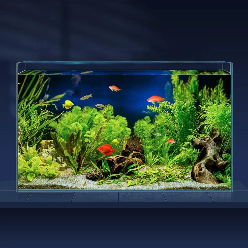 fish tank maintenance