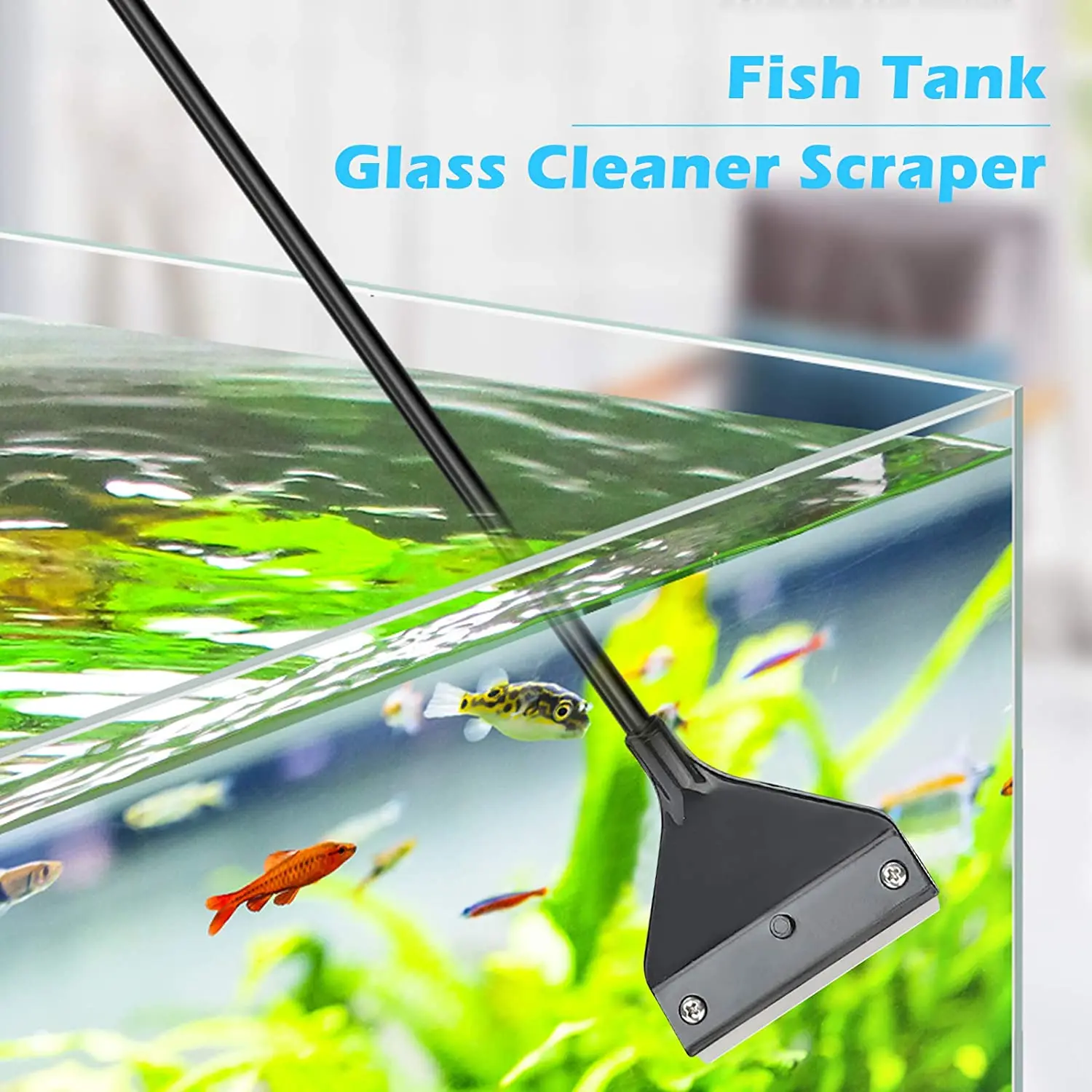 how to properly clean a fish tank