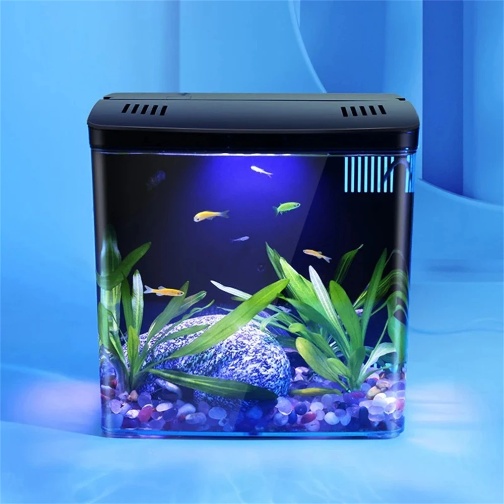 fish tank maintenance