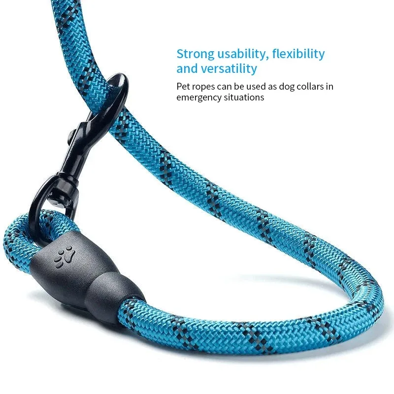 Why are retractable leashes bad?