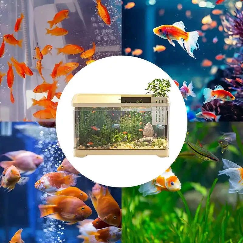 is fish tank water good for plants