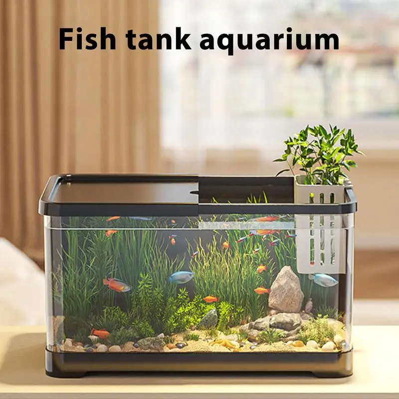 is fish tank water good for plants