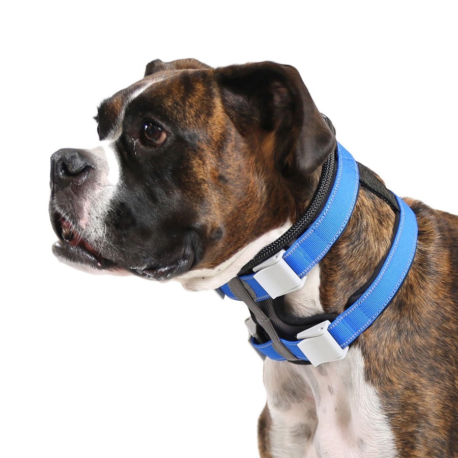 pack leashes reviews