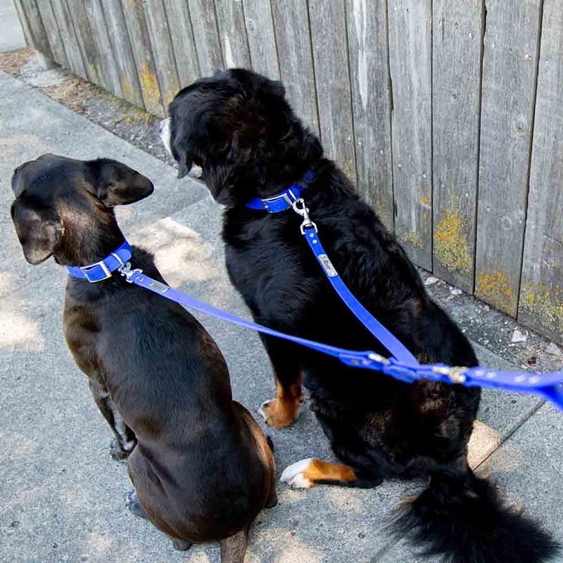 do double dog leashes actually work