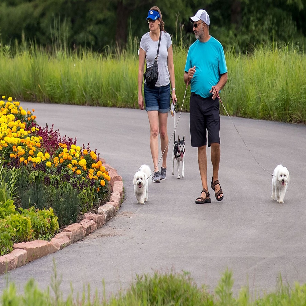 leashes at lauritzen