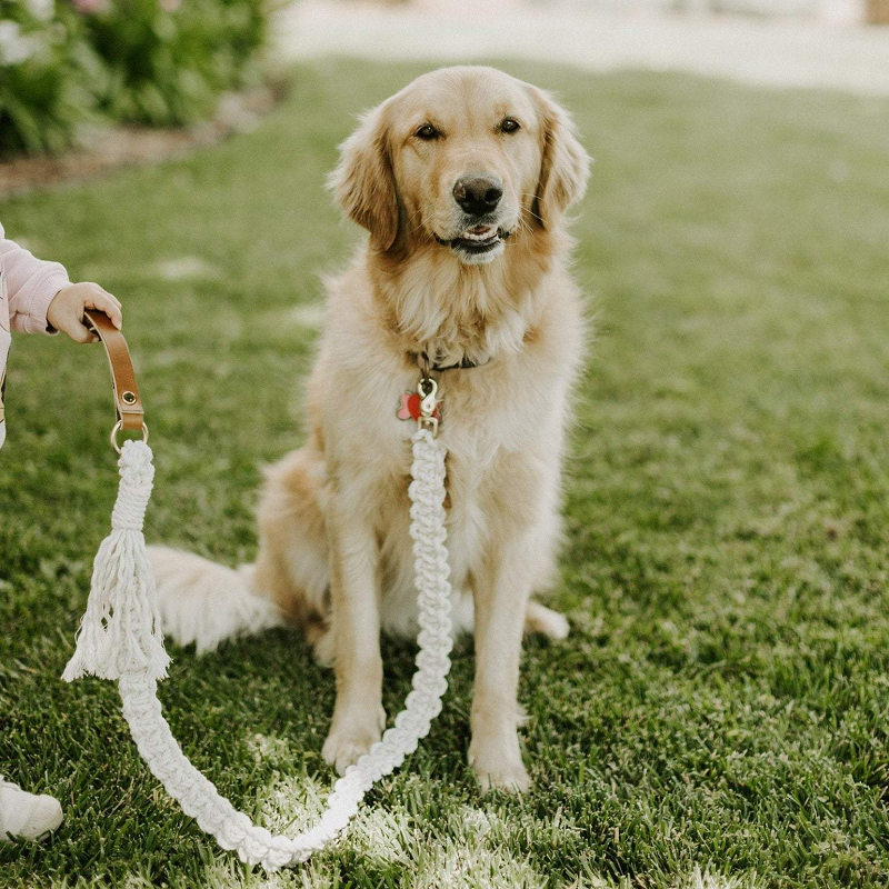 how to make dog leashes