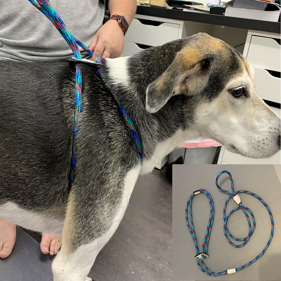 bob and nina make dog leashes equation