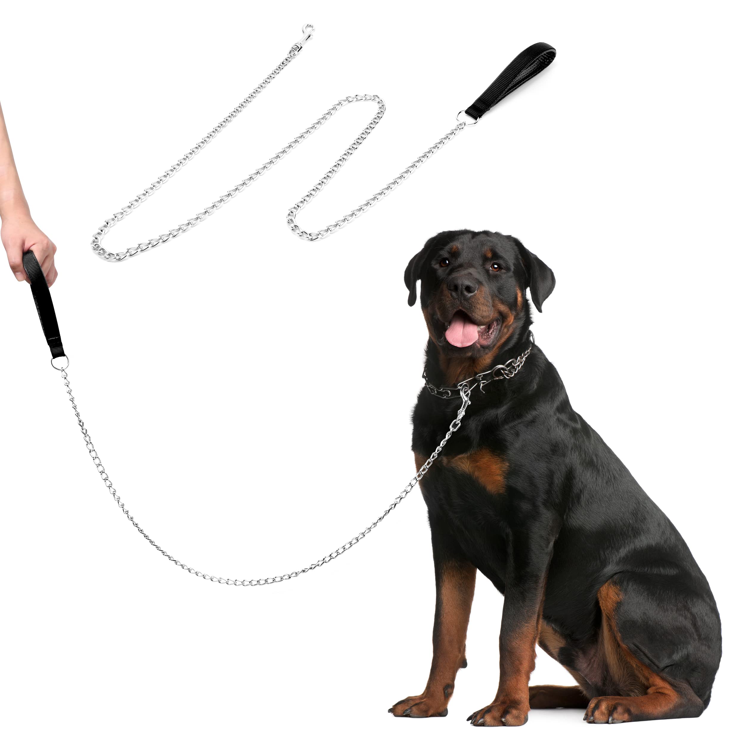 are chain leashes bad for dogs
