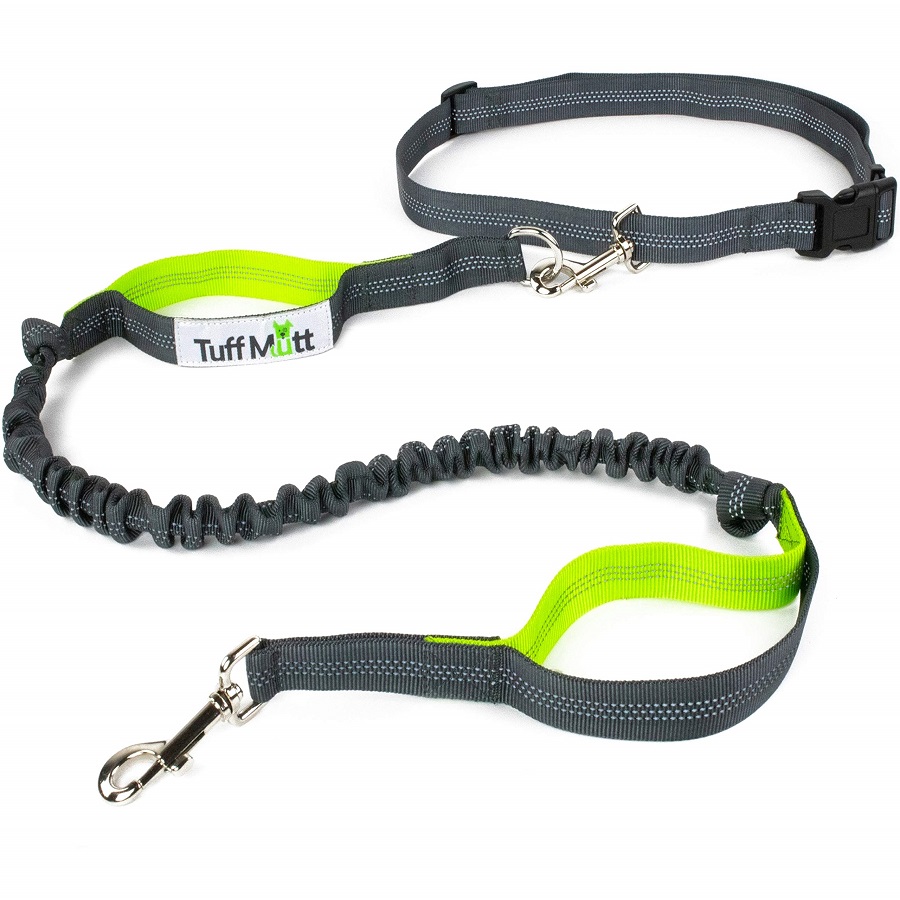 are hands free dog leashes safe
