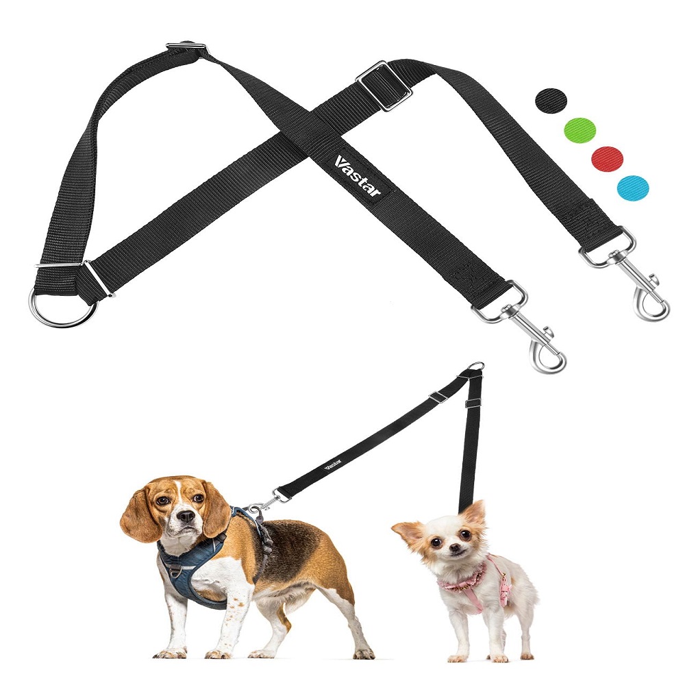 wacky walkr leashes