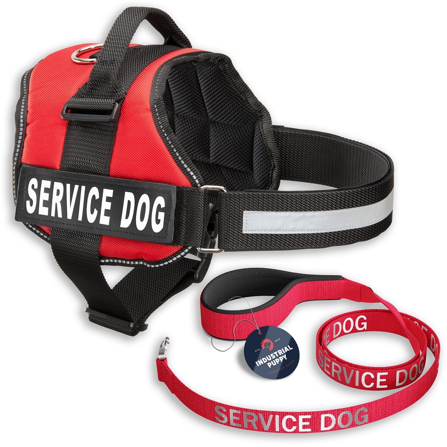 do service dogs need leashes