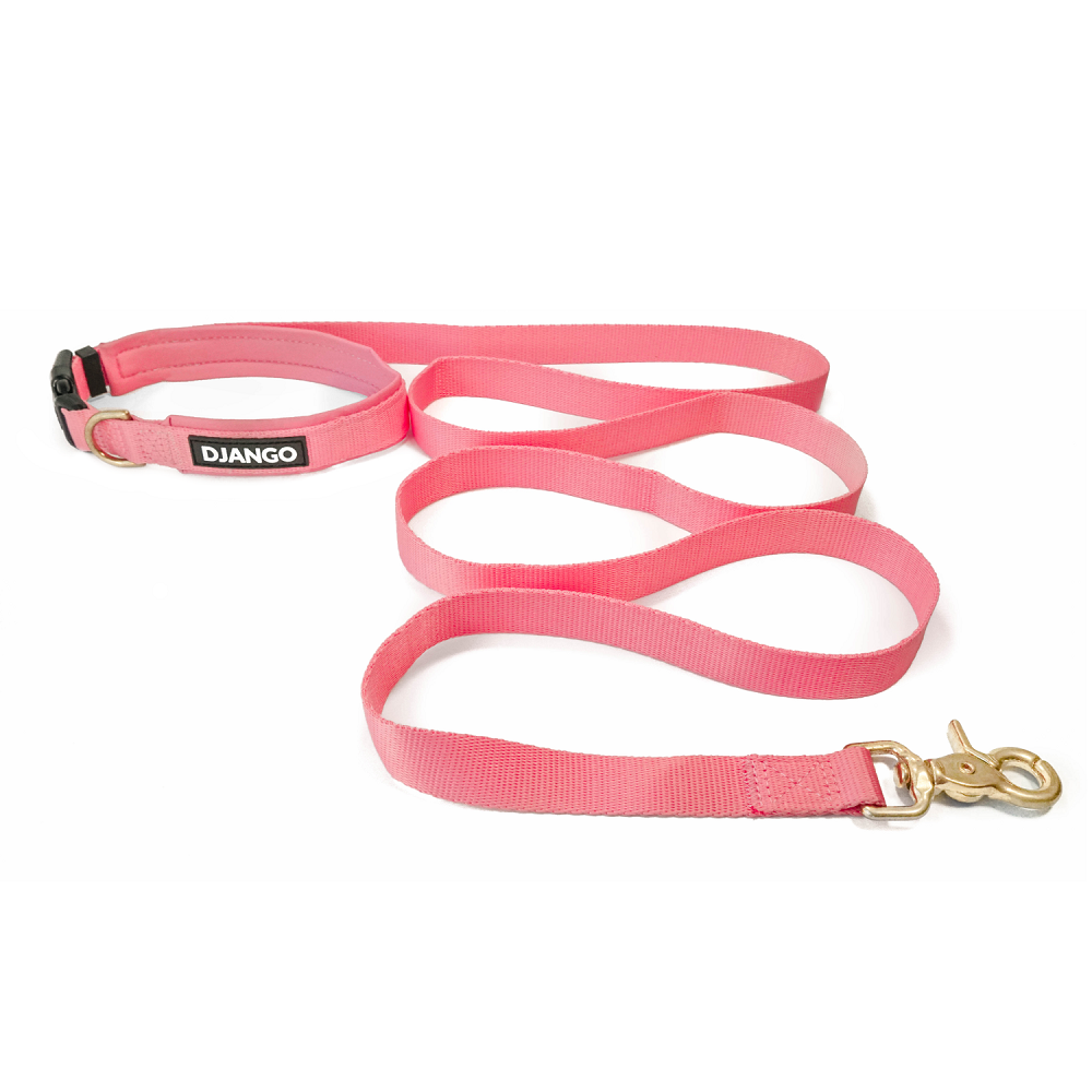 how do hands-free dog leashes work