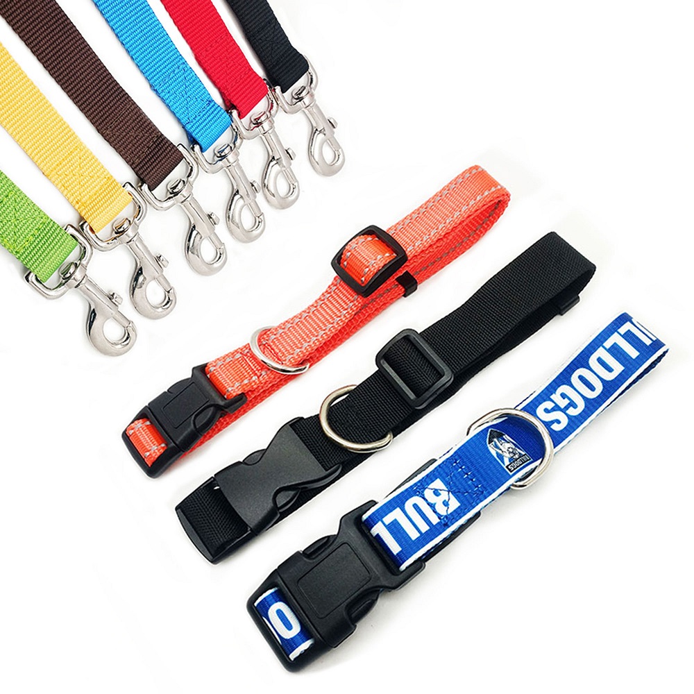 unique dog leashes and collars