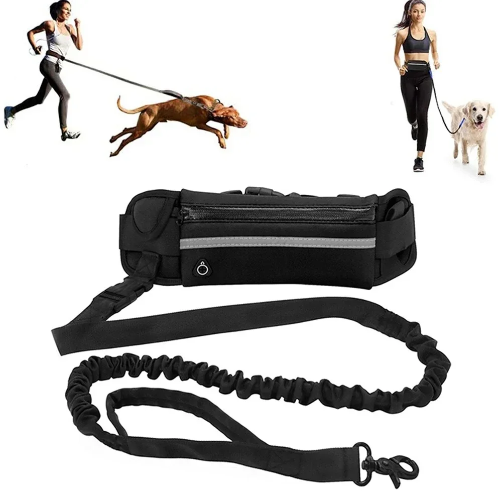 are retractable dog leashes safe
