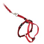 are petsafe collars and leashes safe for cats