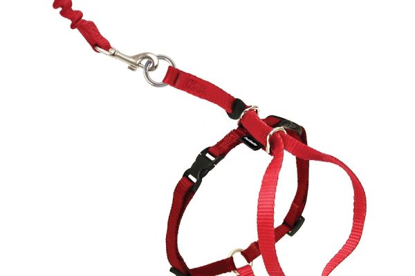 are petsafe collars and leashes safe for cats