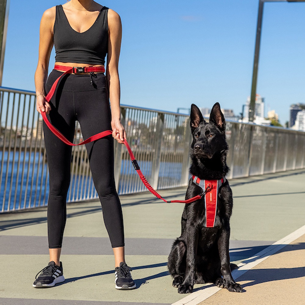 how do hands-free dog leashes work