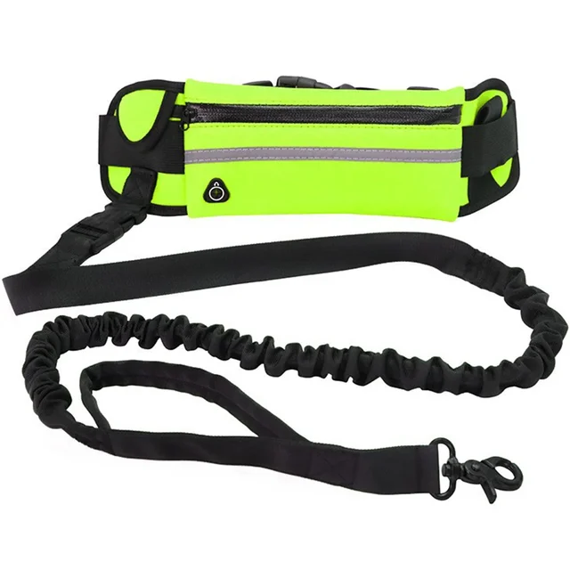 are retractable dog leashes safe
