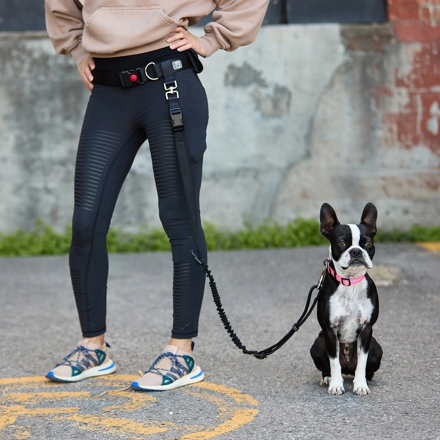 how to wash dog leashes
