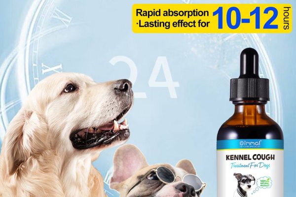 how to treat kennel cough