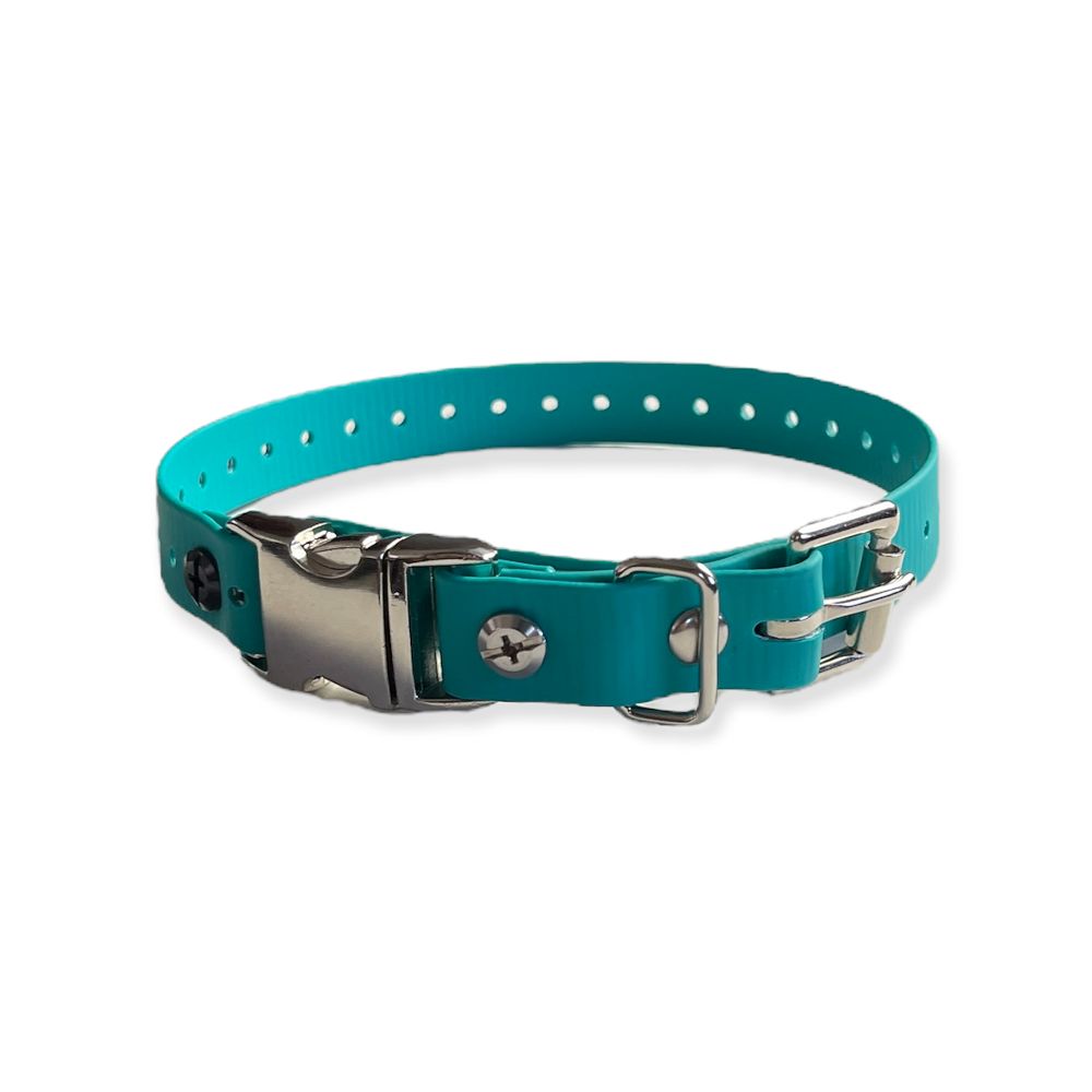 dog collars harnesses and leashes
