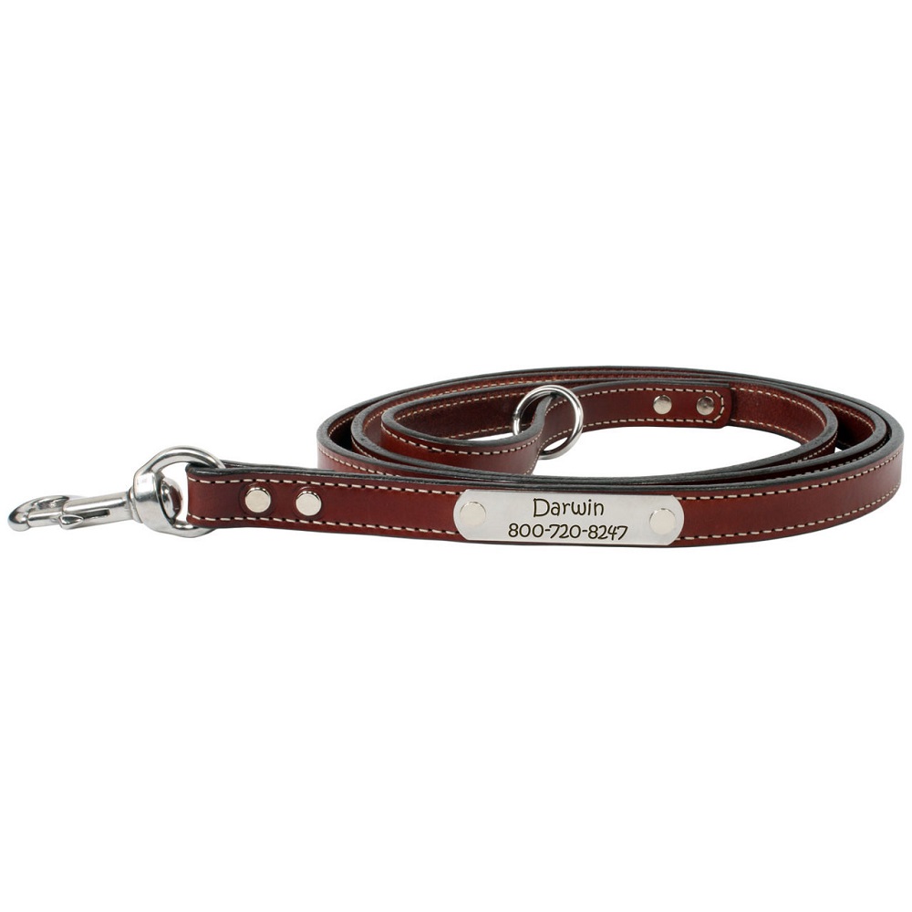 leather dog collars leashes