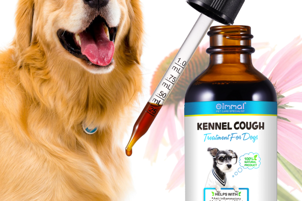 kennel cough treatment