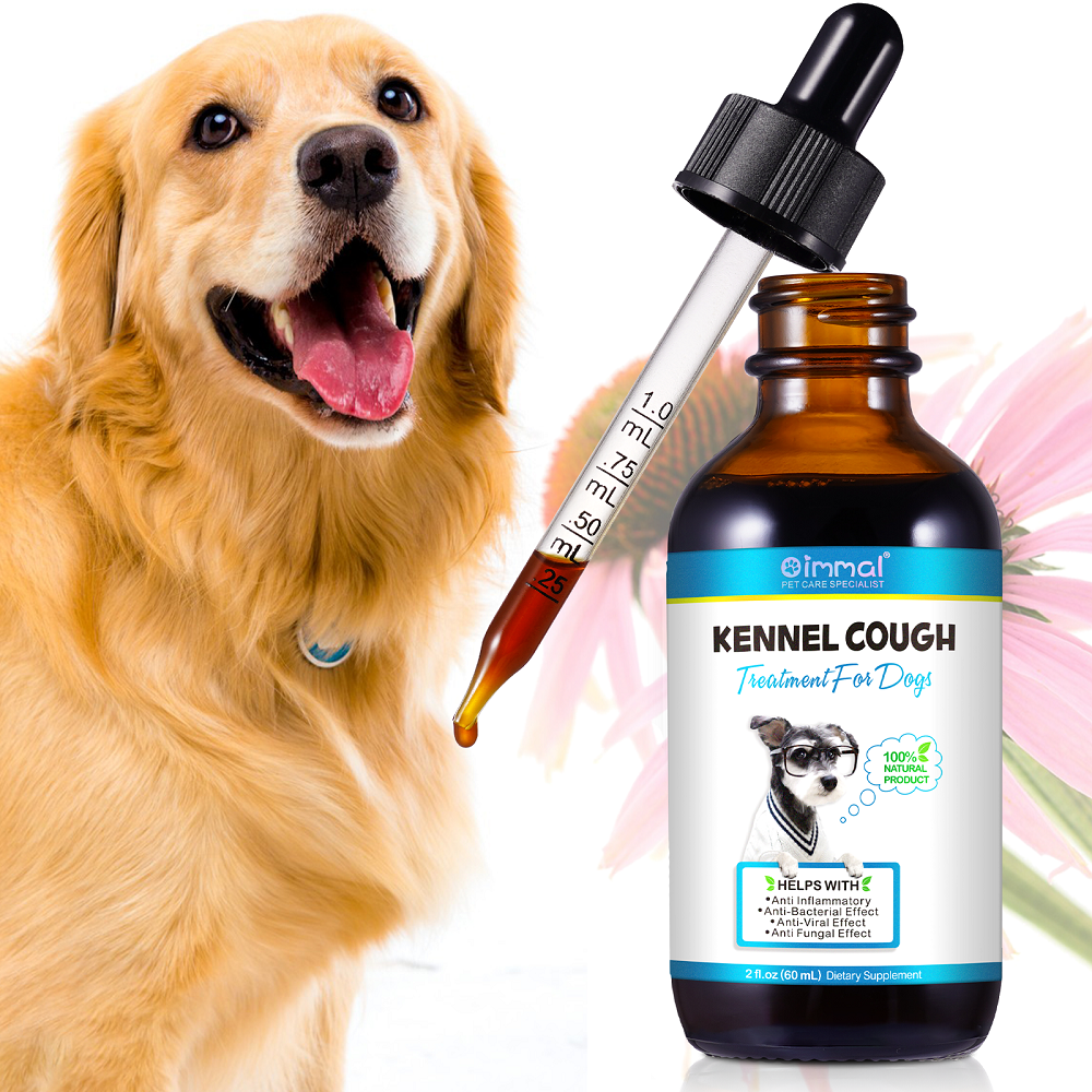 kennel cough treatment