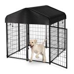 kennel for dogs