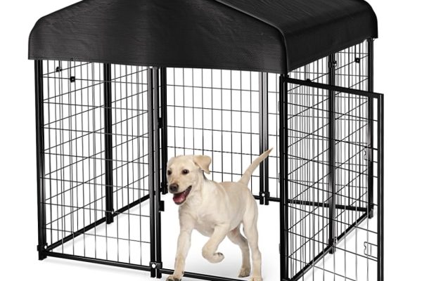 kennel for dogs