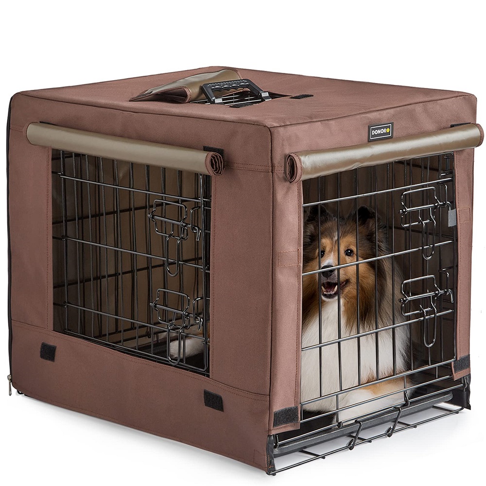 kennel for dogs