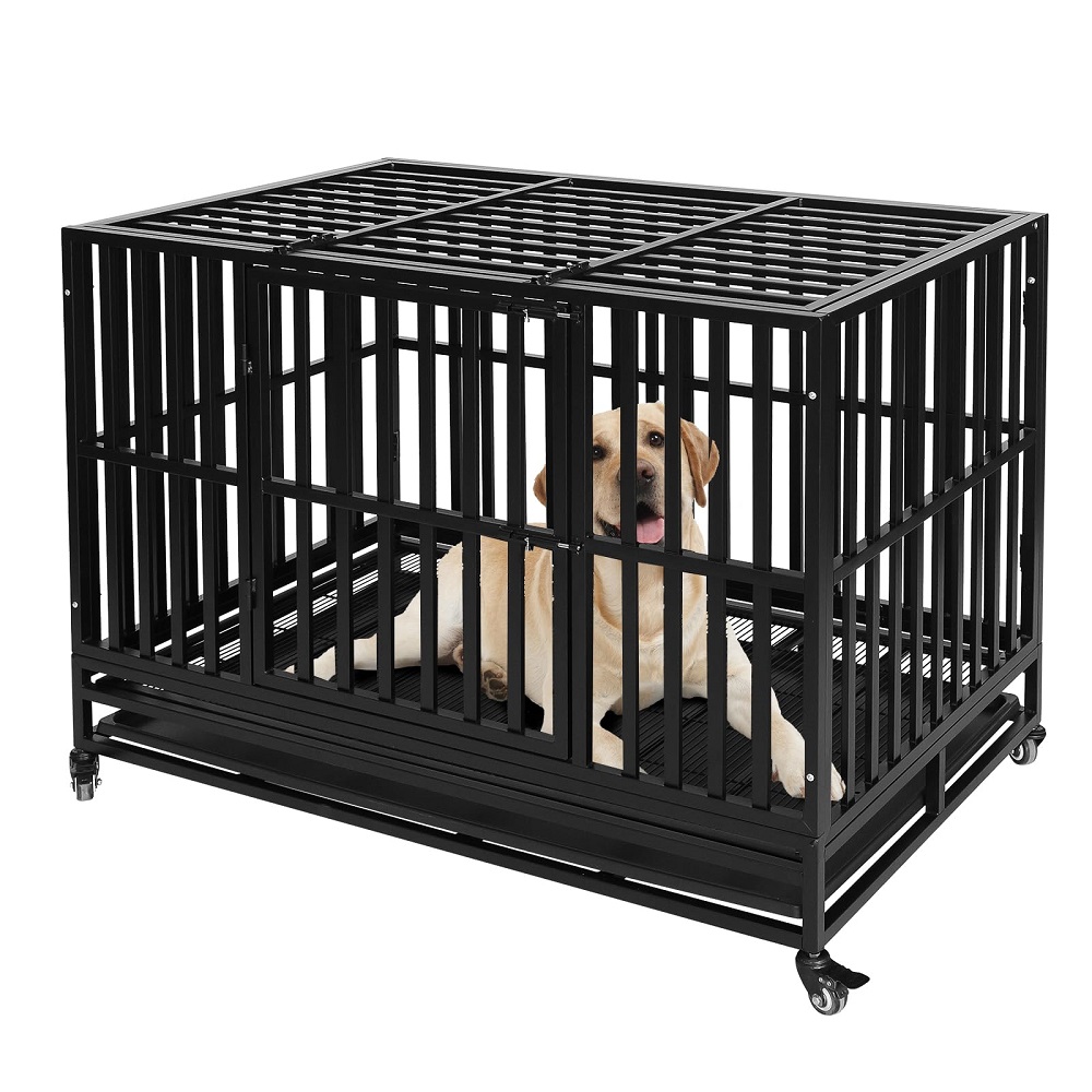 kennel for dogs