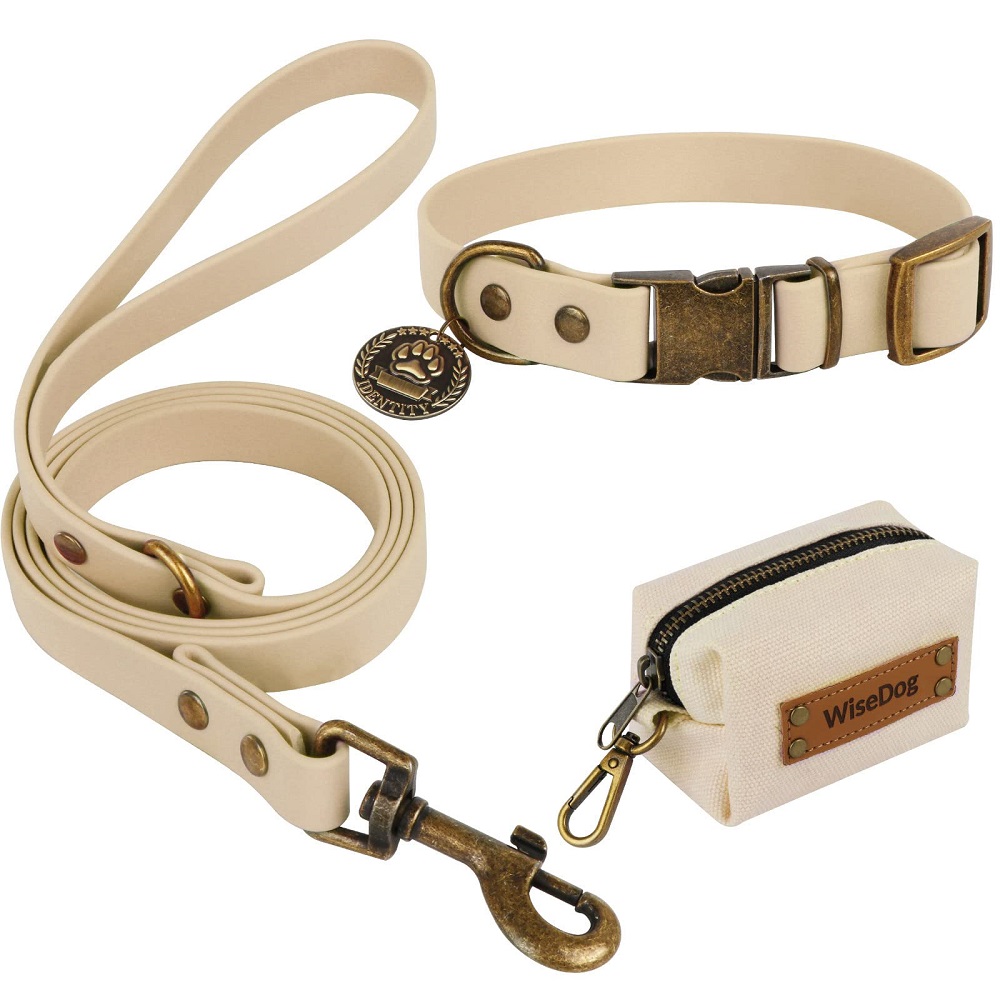 types of dog leashes and collars